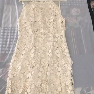 Thistlepearl Cream Embroidered leaf lace dress with sheer neckline